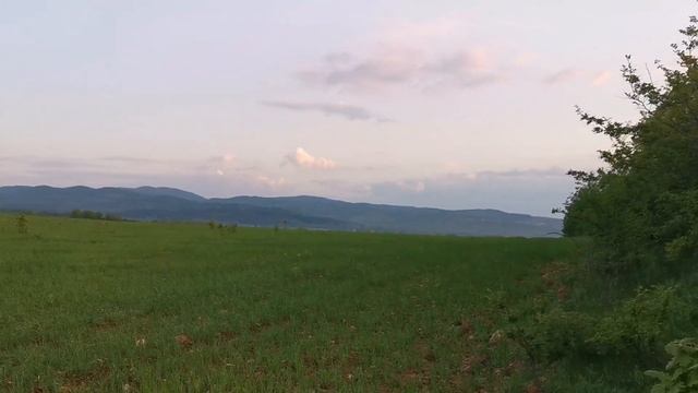 ЗАЩО СТАВАМ В 5 ЧАСА И ЗАЩО СЕ ПРЕМЕСТИХ НА СЕЛО - ЗАКУСКА И ТРЕНИРОВКА ПРИ ХАШИМОТО смотреть онлайн