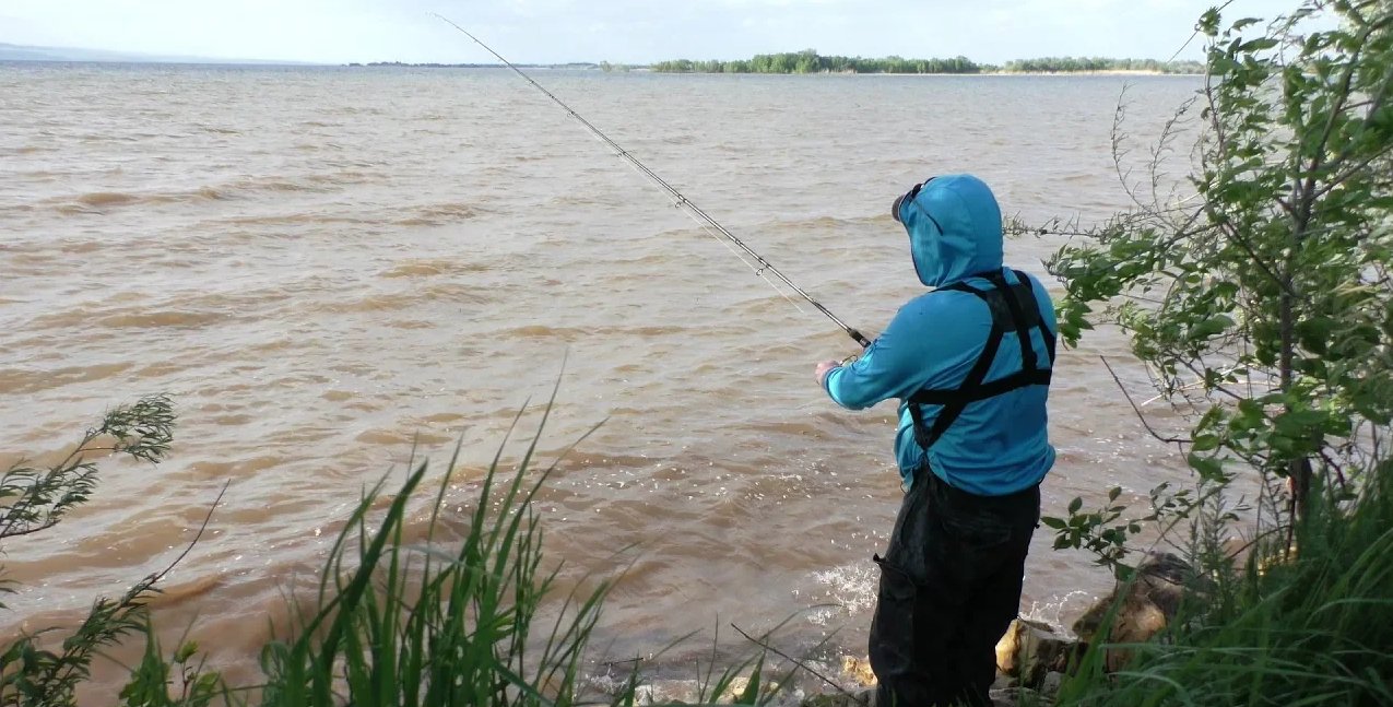 Первый выезд на Волгу за Лещём. Рыбалка на Донку . Лещ, Карась, Голавль, Густера, Плотва смотреть онлайн