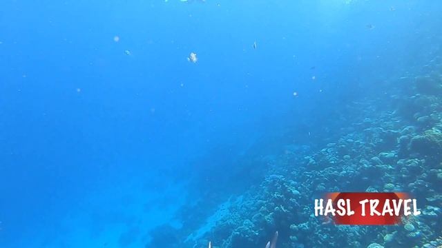 ОБЗОР ЕГИПЕТ.ЭКСКУРСИЯ 5 в 1 ДАХАБ!АБУ ГАЛУМ!МОТОСАФАРИ!СНОРКЛИНГ!ТРИ БАССЕЙНА EGYPT SHARM EL SHEIK смотреть онлайн