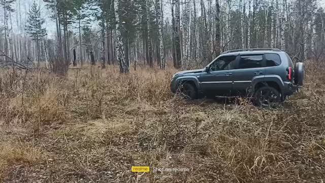15.10.22г. В 2 деревни через лес. Чураки-Дубровино. Часть 2 смотреть онлайн