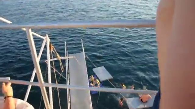 КРАСНОЕ МОРЕ ,Израиль Эйлат 22 03 20 смотреть онлайн