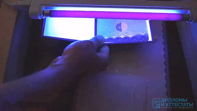 Аттестат за 9 классов с 2014 по 2017 год смотреть онлайн