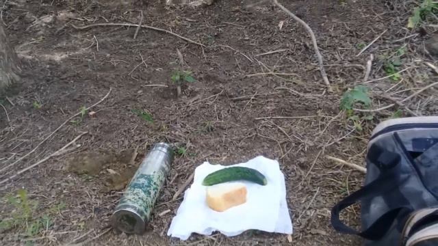 12 ЧАСОВ В ЛЕСУ #1 БУДЕТ ИНТЕРЕСТНО смотреть онлайн