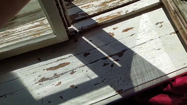 VloG: Вкусная пицца 🍕 16.07.20 смотреть онлайн