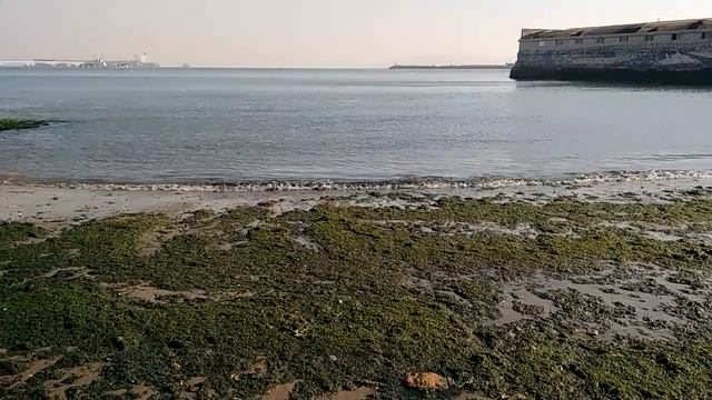 Huangdao District, Qingdao City, Shandong Province 山東省青島市黃島區渤海膠州灣 смотреть онлайн