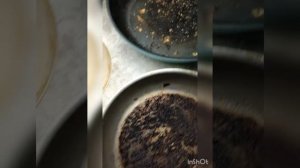 ОБЗОР Встраиваемой посудомоечной машины Haier DW10-198BT3RU ?