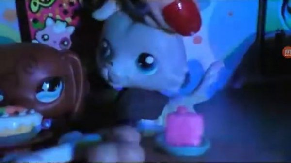 День рождения дилана