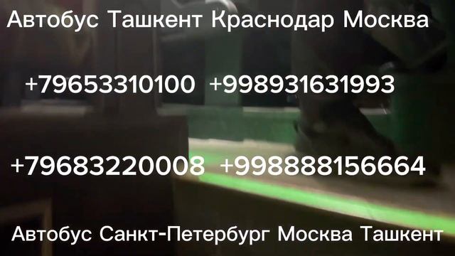 Санкт-Петербург Ташкент, такси Санкт-Петербург Худжа, автобус срочно прямой рейс пересадкой #автобу смотреть онлайн