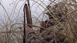 Вкусная охота на северную утку (Охотничий дневник №15)