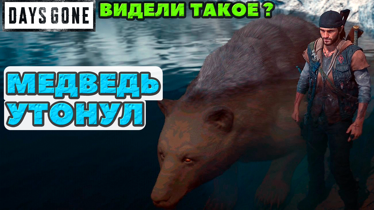 ?МЕДВЕДЬ УТОНУЛ! Видели такое? Days Gone(Жизнь После). смотреть онлайн