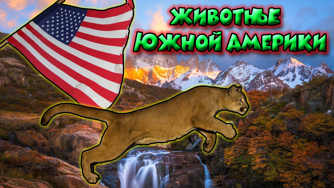 Животные Южной Америки смотреть онлайн