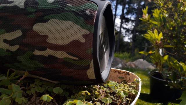 Mini bass test смотреть онлайн