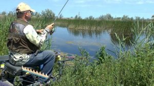 Ловля огромных карасей в сильно заросшем водоеме. Рыбалка на карася фидером в траве