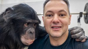 ПРЕМЬЕРА С ШИМПАНЗЕ В ЦИРКЕ АСТАНЫ! Как всё прошло? Бэкстейдж: именно так идёт подготовка к шоу