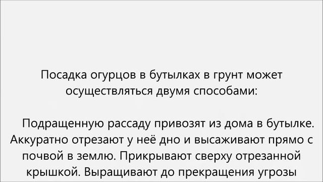 Огурцы в бутылках выращивание.Огурцы в пластиковой бутылке выращивание смотреть онлайн