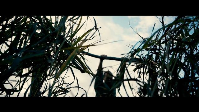 по ту сторону мыслей. смотреть онлайн