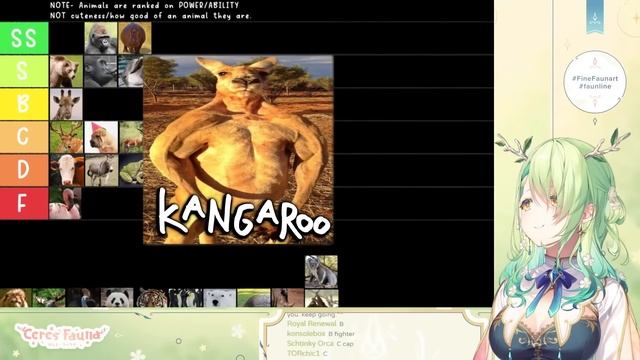 Fauna's DEFINITIVE Animals Tier List