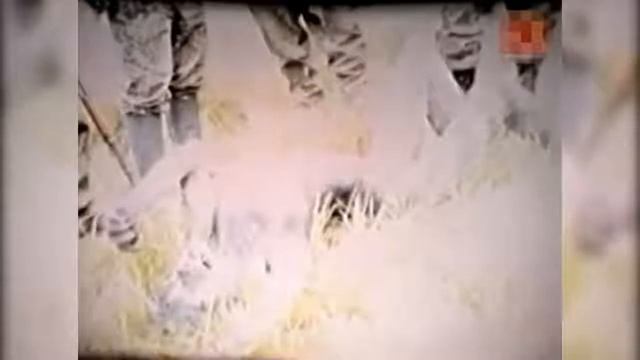 ОБОРОТНИ ЕСТЬ! ВОТ ОНИ СНЯТЫЕ НА КАМЕРУ!!! смотреть онлайн