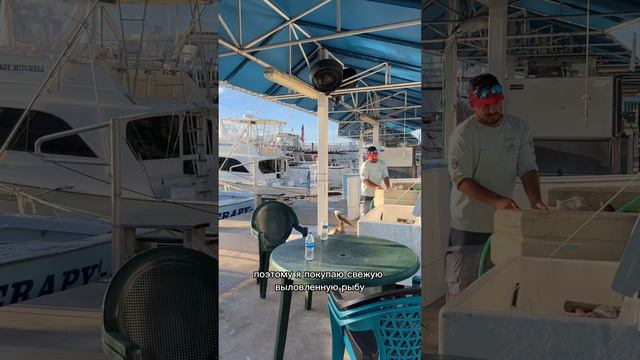 Живем в Майами среди яхт #жизньэмигрантов #рыбалка #океан #oceanwaves #америка смотреть онлайн