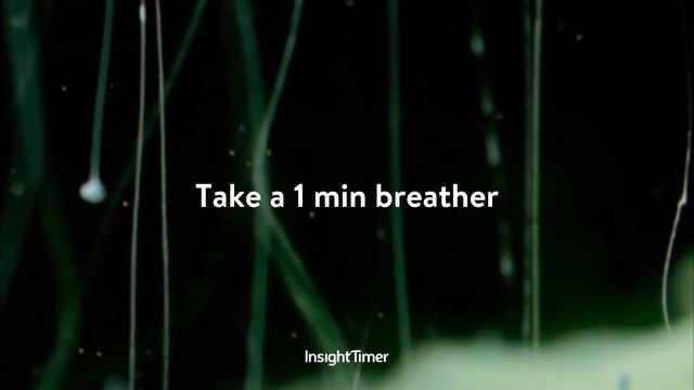 Short 1 Minute Meditation | Affirmation & Self-Love Practice | Insight Timer смотреть онлайн