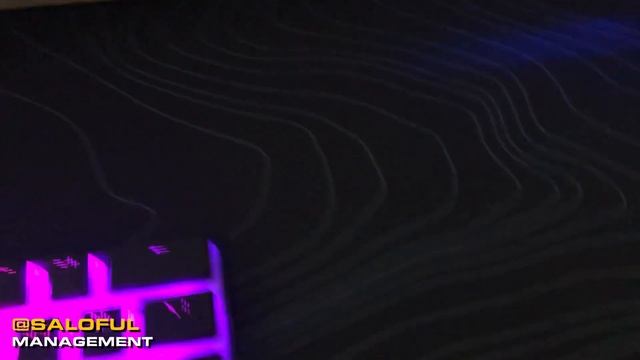 VIABLE GAMING SETUP TOURS ($100,000) смотреть онлайн