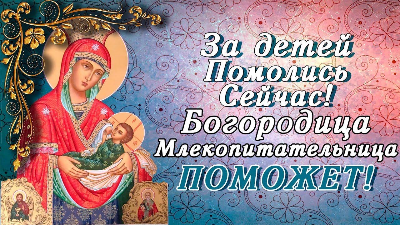 БОГОРОДИЦЕ МЛЕКОПИТАТЕЛЬНИЦЕ ЗА ДЕТЕЙ СЕГОДНЯ ПОМОЛИСЬ! 25 января День Иконы "Млекопитательница! смотреть онлайн