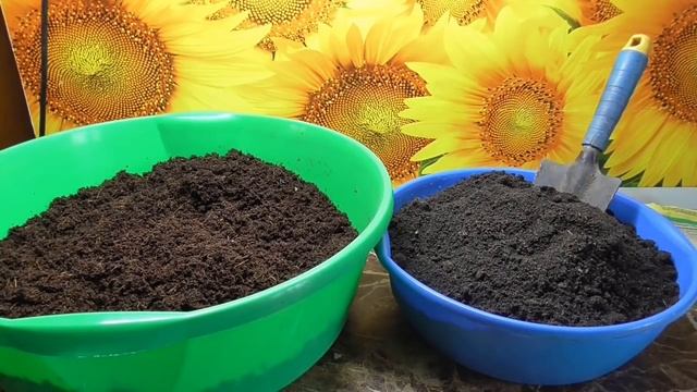 Огород. Посев томатов для теплицы будет 25 января. Для суперраннего урожая томатов! смотреть онлайн