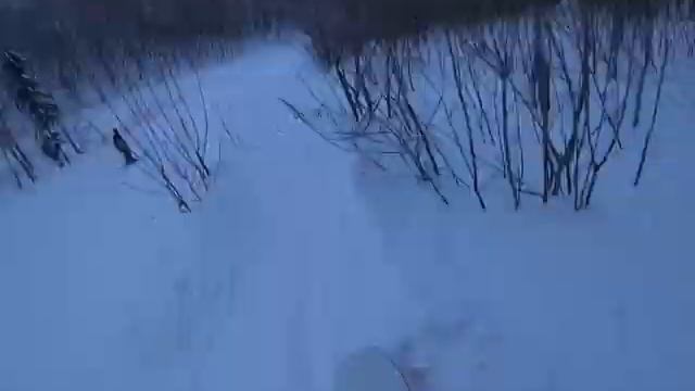 Аша, ГЛЦ Аджигардак, сезон 22-23 смотреть онлайн