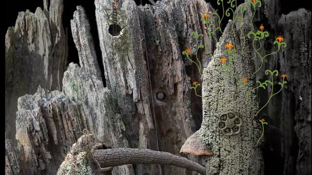 Samorost 1 - Прохождение смотреть онлайн