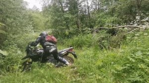 racer Renger RC300-GY8 лес