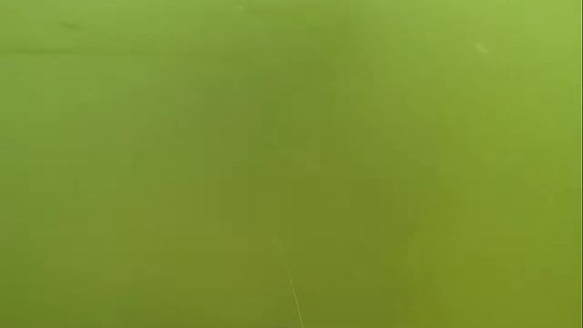 Dive fishing in Baltic sea смотреть онлайн