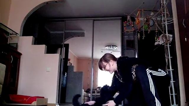 Малый пудель Гуффи, 4,5 месяца, учим команды смотреть онлайн