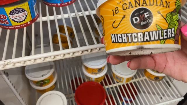 ? живые ЧЕРВИ ? а я и не ЗНАЛА живая наживка для РЫБАЛКИ в США Walmart Florida USA 31.01.2021 смотреть онлайн