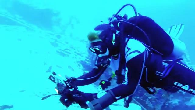 Египет.Красное море. Дайв-сайт Shark & Yolanda Reef 18.08.2020 год (часть2) смотреть онлайн