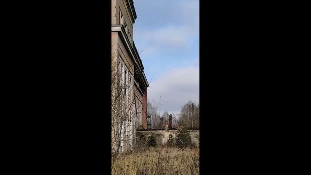 Заброшка под зеленоградской 56.079261, 37.945121