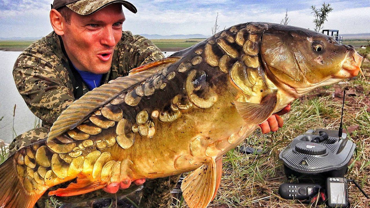 КАРПЫ ЛОМАЮТ КАТУШКИ и УТАСКИВАЮТ УДОЧКИ! Рыбалка с ночёвкой с прикормочным корабликом смотреть онлайн