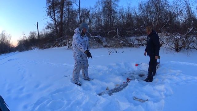 Таймень на махалку в -35° смотреть онлайн