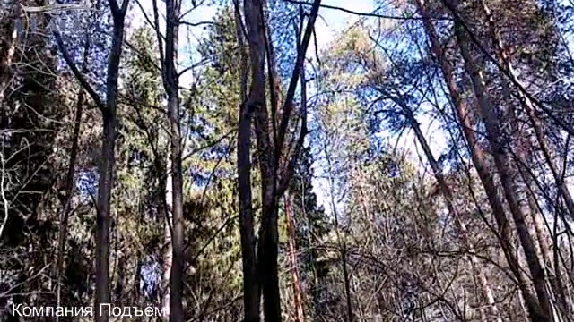 Белки в живой природе, часть 1, pkpodem.ru смотреть онлайн