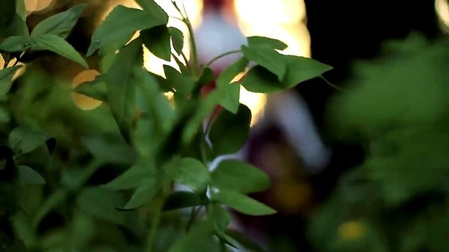 Star Guardian Lux - League of Legends Cosplay смотреть онлайн