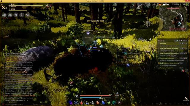 Black Desert Online OBT Korean: Таймер 50 lvl гринд смотреть онлайн
