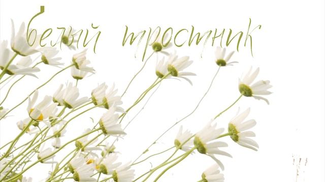 28| НШ смотреть онлайн