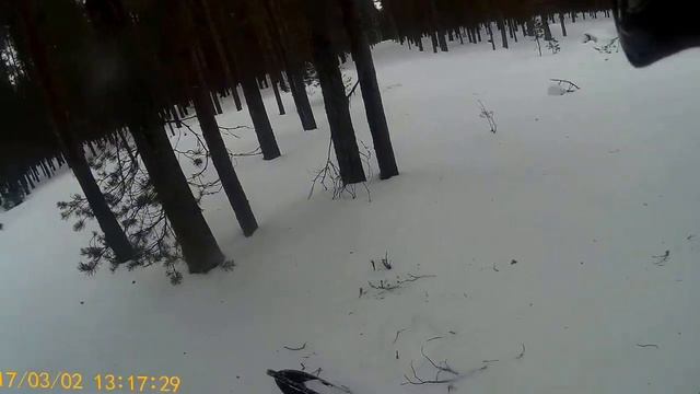 29. Bearcat WT 660 Turbo - По негустому ровному лесу. Мокрый тяжёлый снег. смотреть онлайн