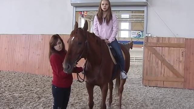 Конно-спортивный комплекс "Рифей" смотреть онлайн