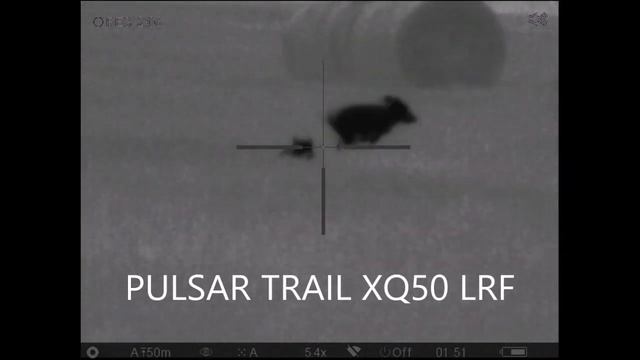 PULSAR TRAIL XQ50 LRF - Sestřih Z Lovu - Hunting Compilation
