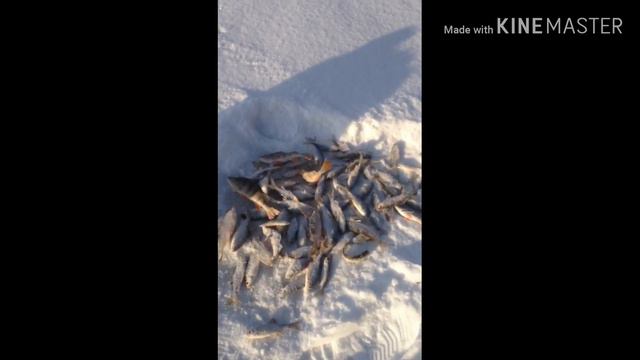 21 января смотреть онлайн