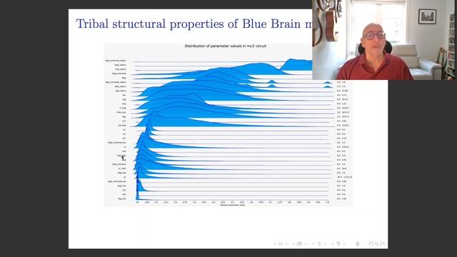 BilTop | Ran Levi | An application of neighbourhoods in the classification of binary dynamics смотреть онлайн