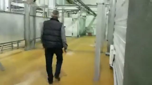 Полуавтоматическая линия убоя МРС по стандарту HACCP