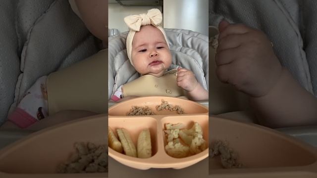 Пшеница - аллерген ❕#самоприкорм #прикорм #blw #blwmenu #кусочки #6месяцев #6months #рецепты