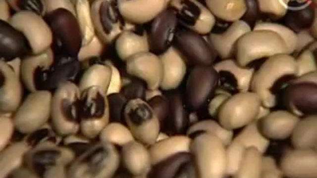 Лечение проростками смотреть онлайн