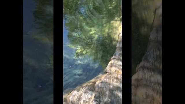 Дивноморское, сентябрь 2022г, часть 2#новороссийск#отдыхайкруглыйгод#дольмены#водопады#экскурсия смотреть онлайн